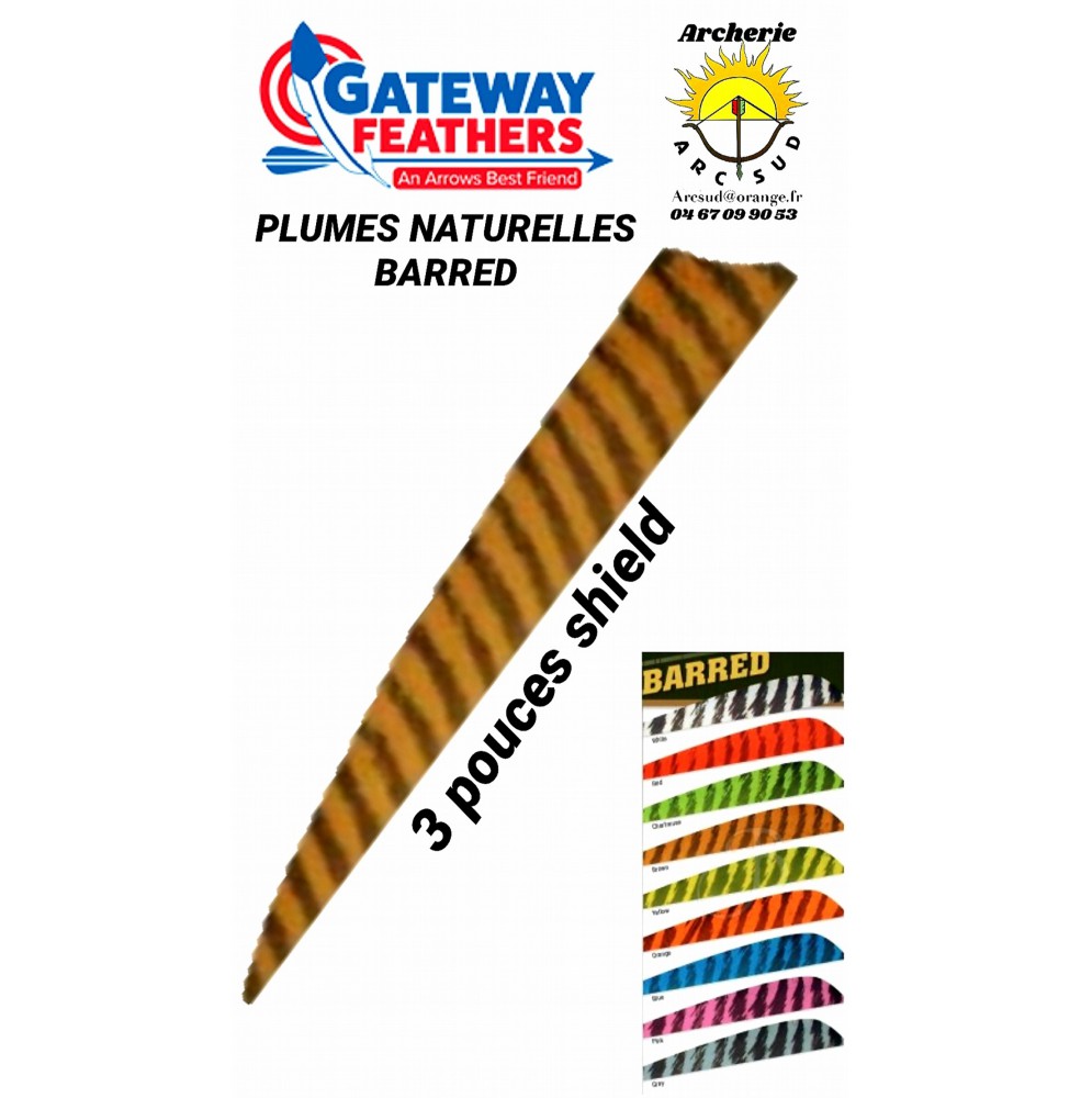 gateway plumes naturelles shield  barred 3 pouces (par 100)