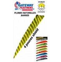 gateway plumes naturelles shield  barred 4 pouces 