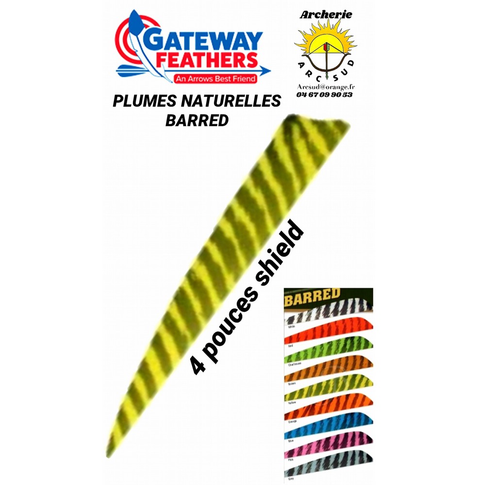 gateway plumes naturelles shield  barred 4 pouces 