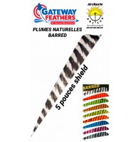 gateway parabole 5 pouces barred