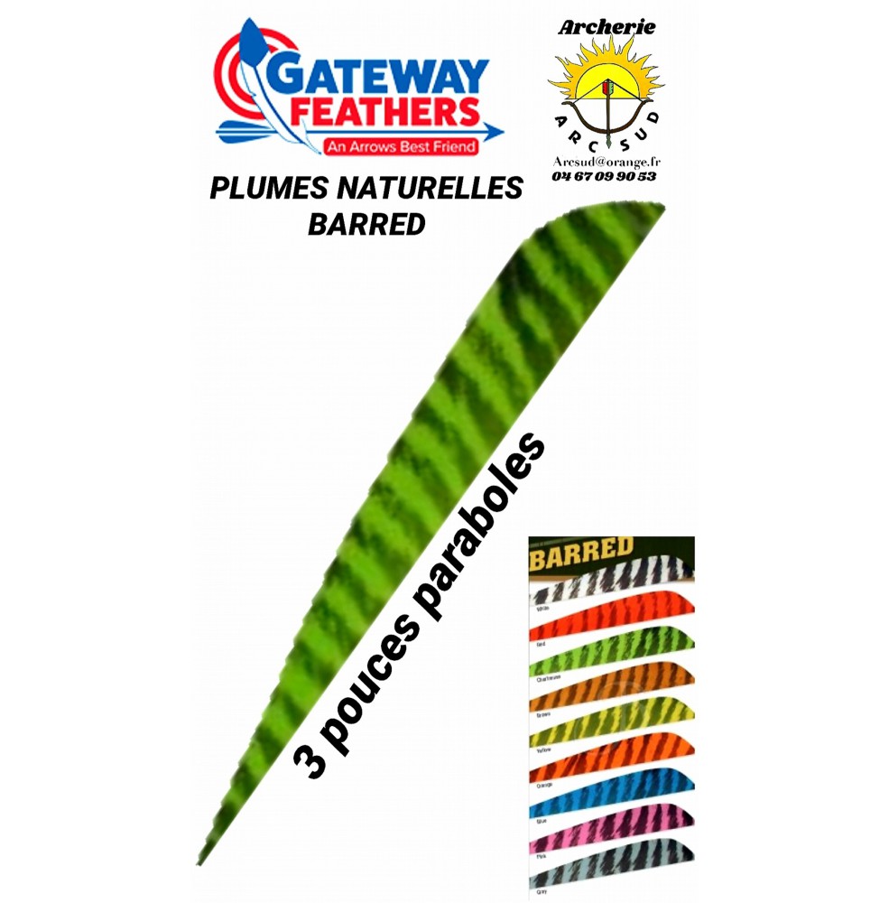 gateway plumes naturelles paraboles barred 3 pouces (par 100)