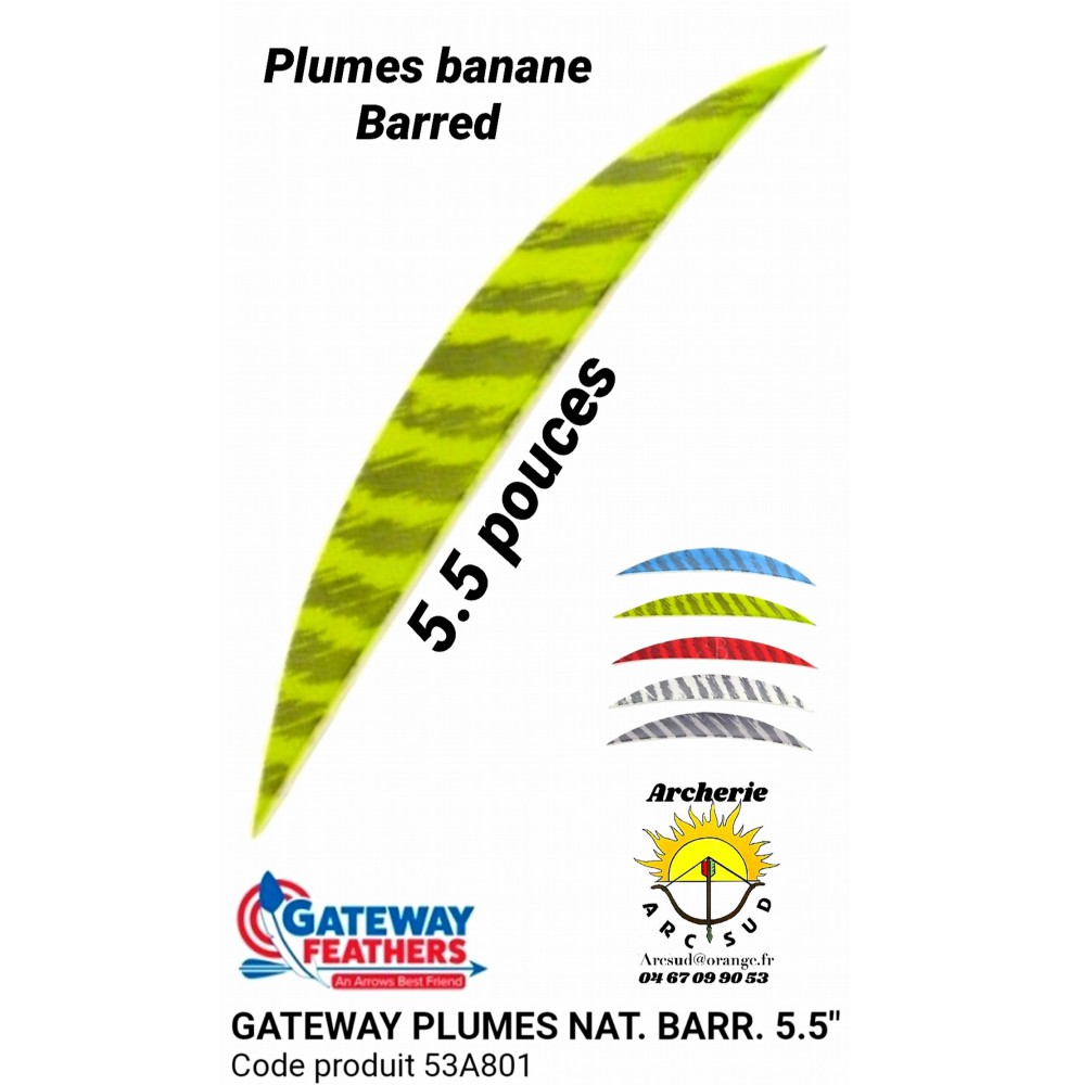 gateway plumes naturelles banane barred 5.5 " (pack de 100) 53a801
