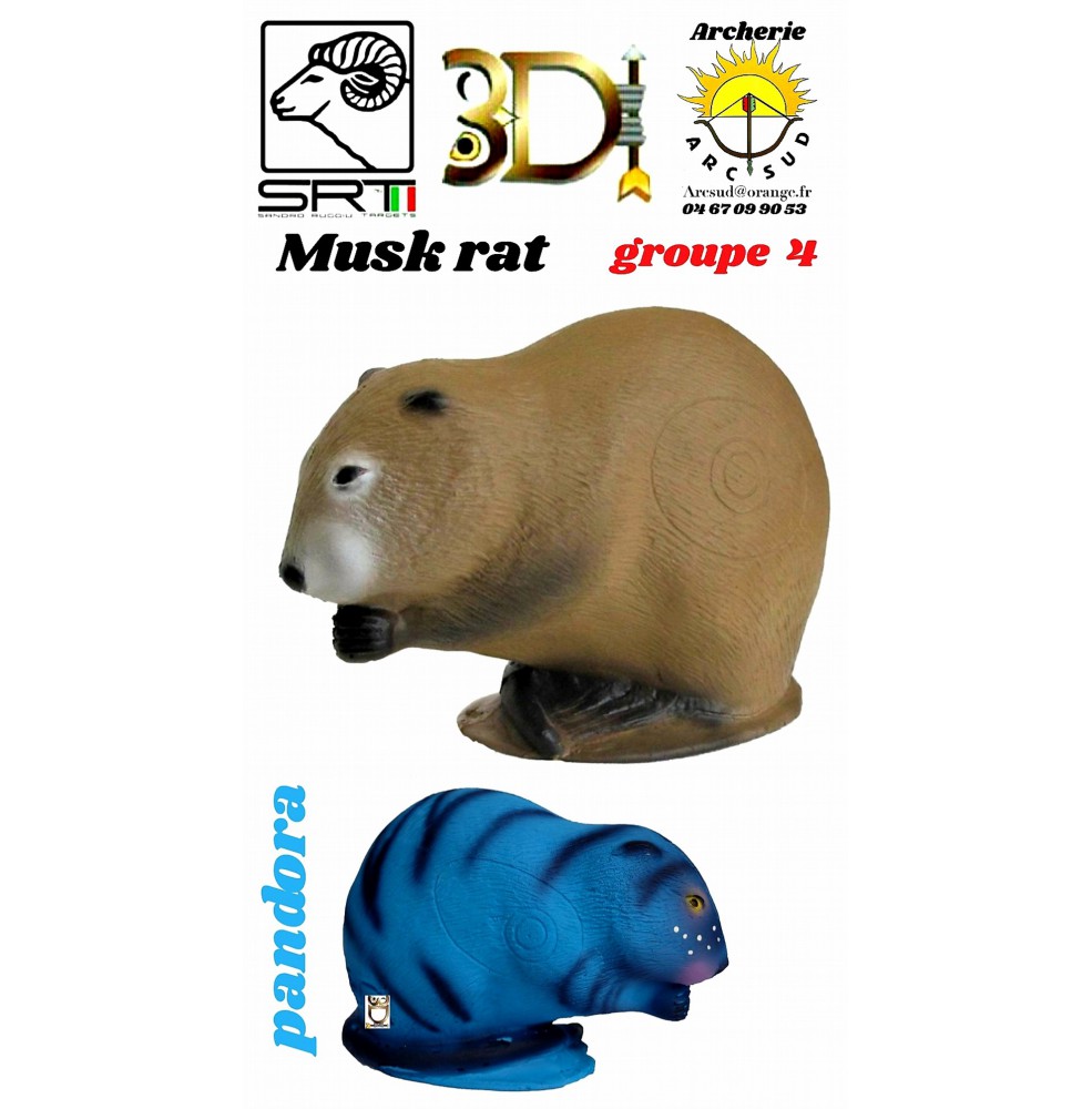 3di bêtes 3d musk rat