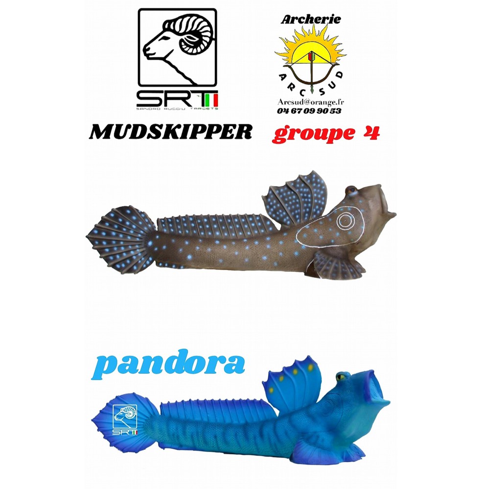 Srt bêtes 3D mudskipper