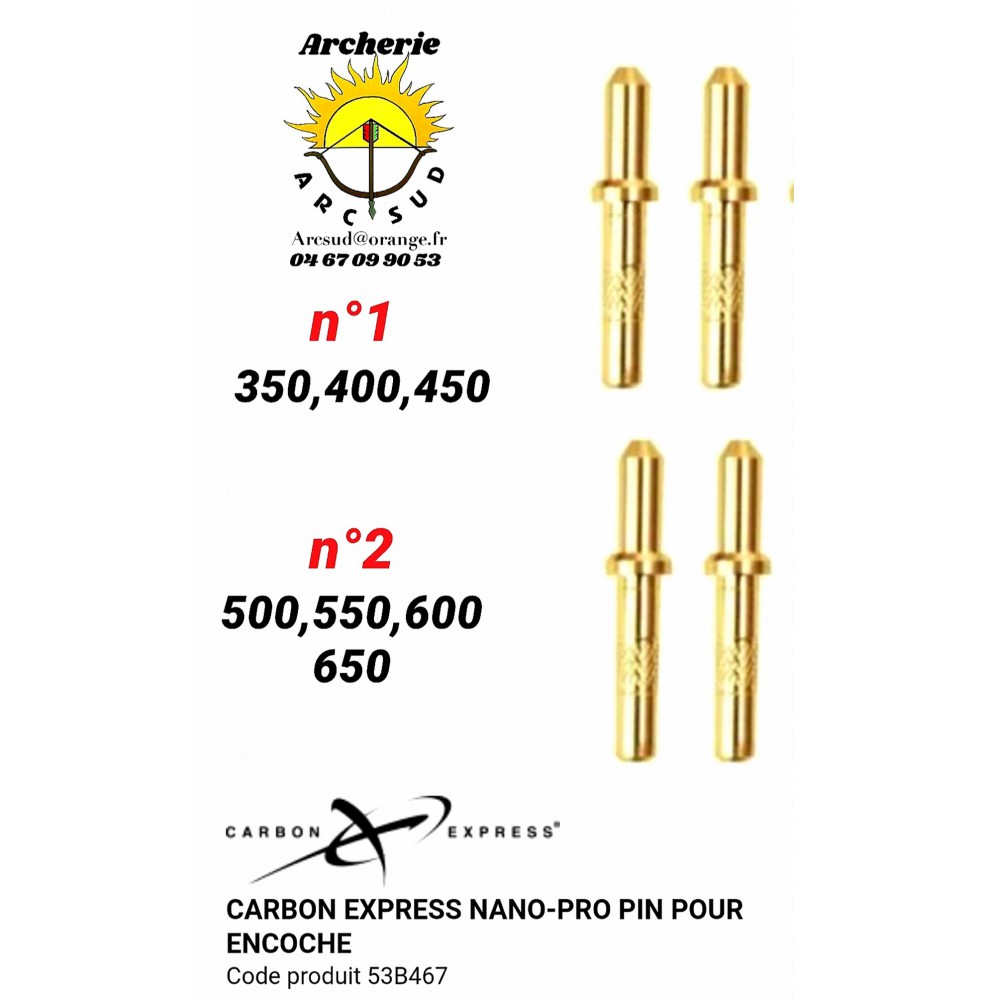 Carbon express insert pin nano pro (par 12)