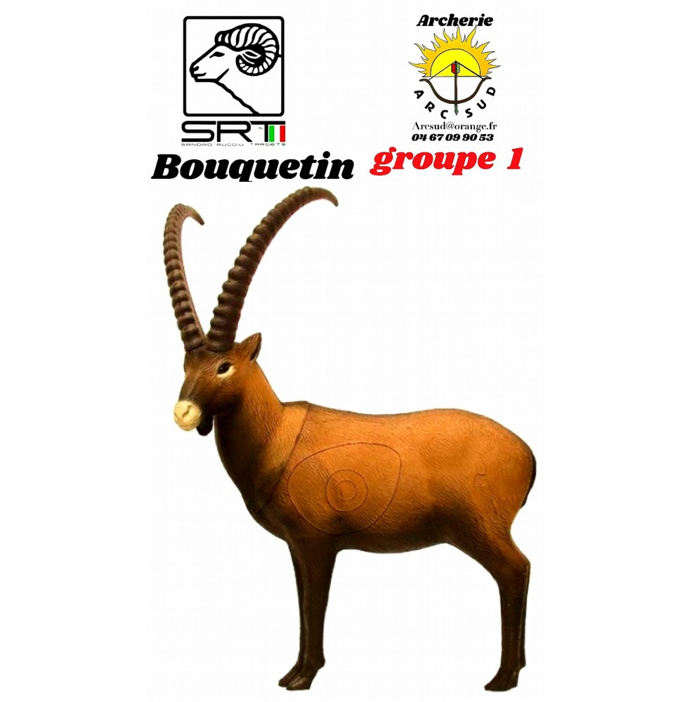 Srt bêtes 3D bouquetin