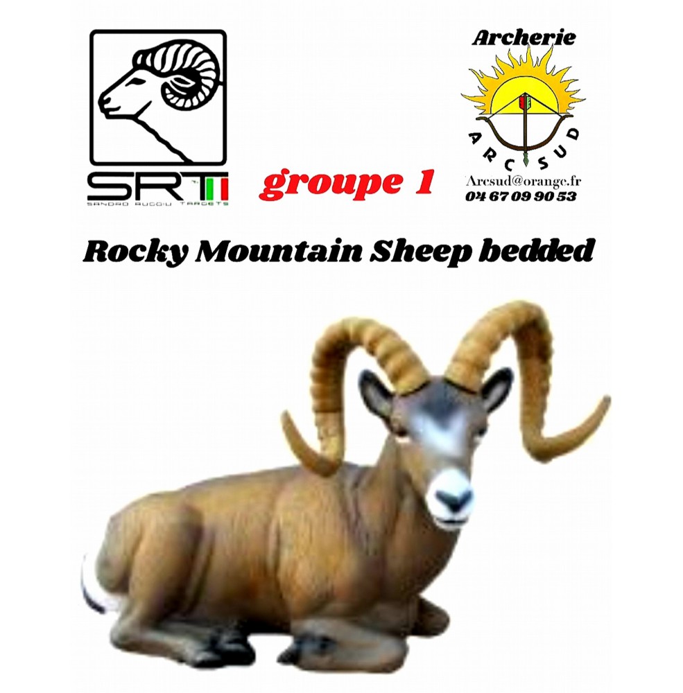 Srt bêtes 3D rocky mountain Sheep bedded