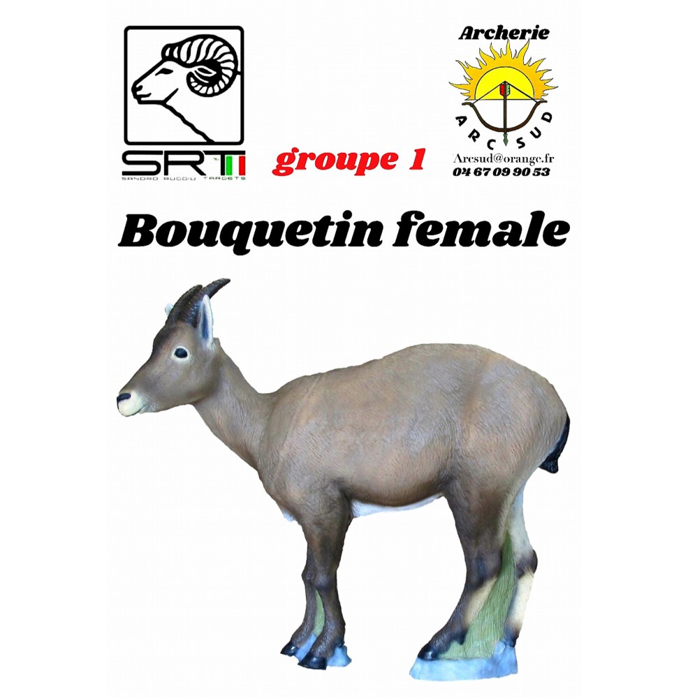 Srt bêtes 3D bouquetin female