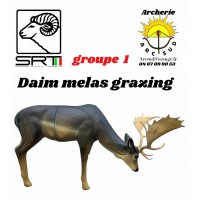 Srt bêtes 3D daim melas grazing