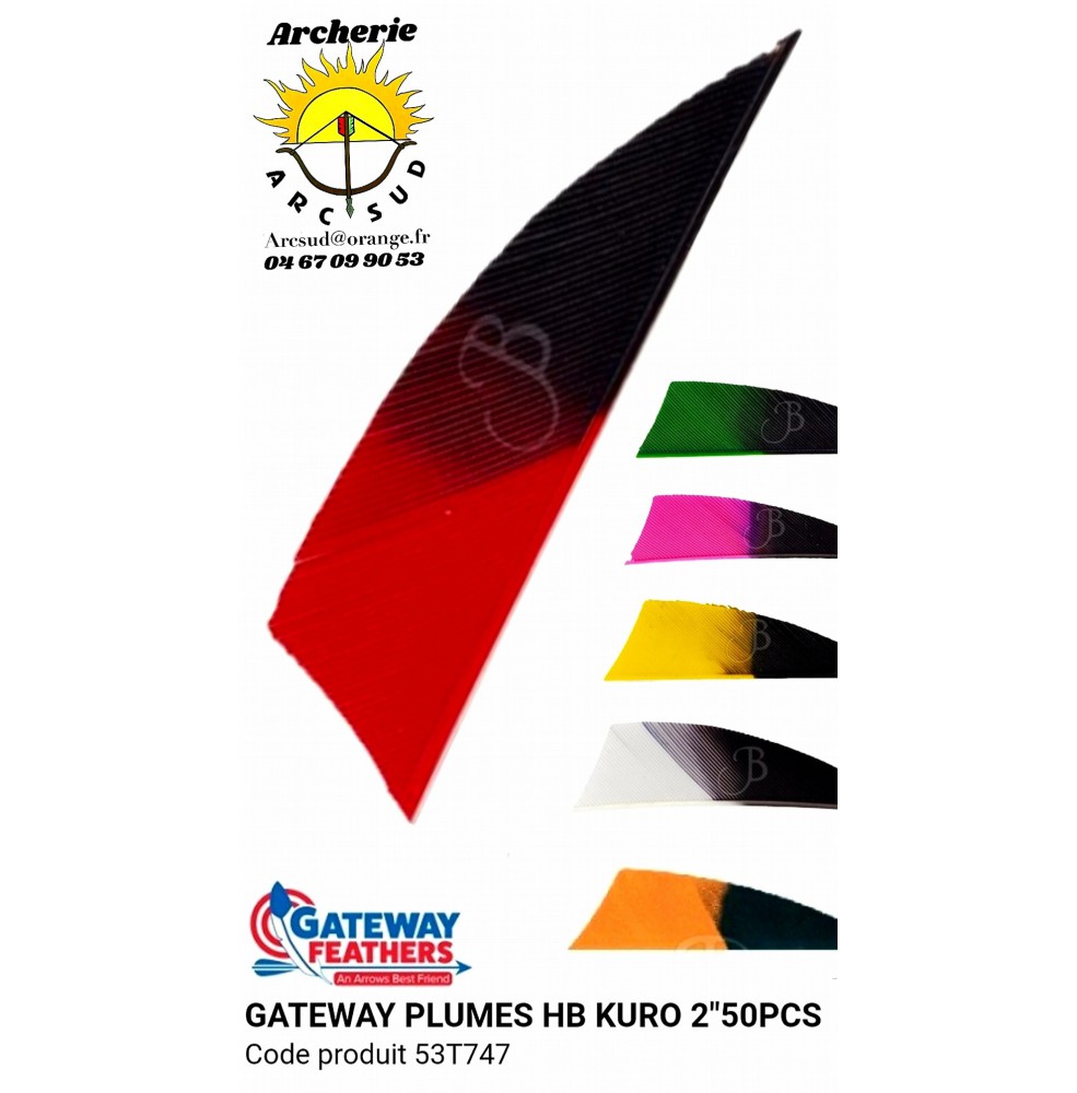 gateway plumes naturelles hb kuro shield 2 pouces  53t747 (pack de 50)