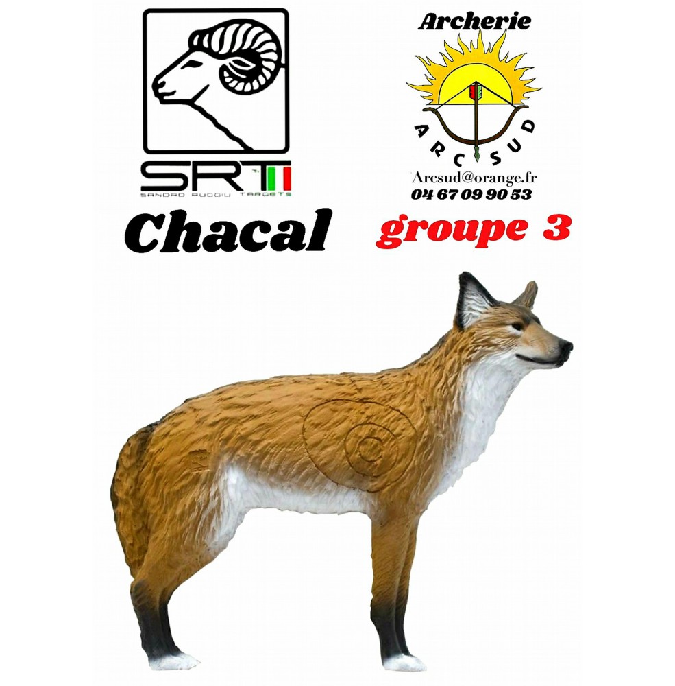 Srt bêtes 3D  chacal