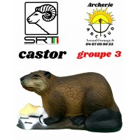 Srt bêtes 3D castor