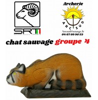 Srt bêtes 3d chat sauvage