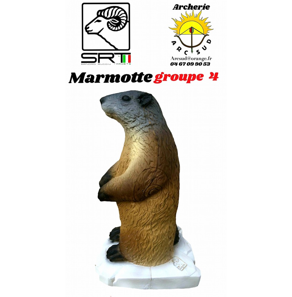 Srt bêtes 3d marmotte