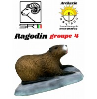 Srt bêtes 3d ragondin