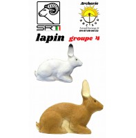 Srt bêtes 3D lapin