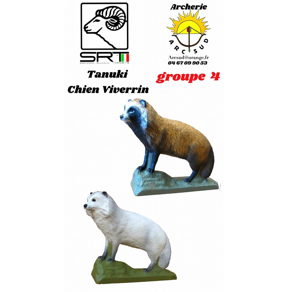 Srt bêtes 3D tanuki chien Viverrin