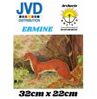 Jvd blason animal ermine