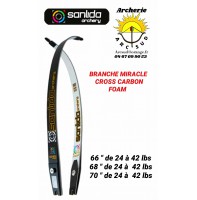 Sanlida branche miracle cross carbon foam