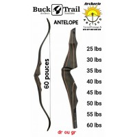 Buck trail arc chasse antelope