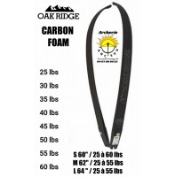 Oak ridge branche td carbon foam