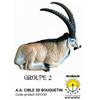 AA cible 3d bouquetin 53v330