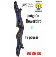 White feather poignée chasse bowerbird