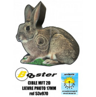 Booster cible mft 2d lapin...