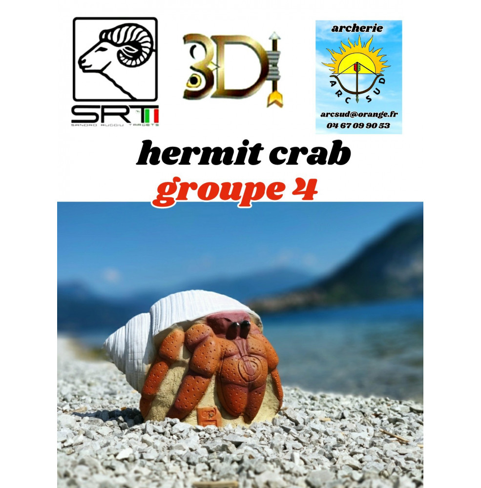 3di bêtes 3d hermit crab