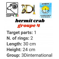 3di bêtes 3d hermit crab
