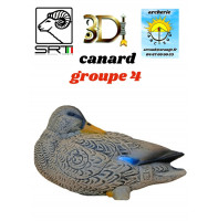 3di bêtes 3d canard