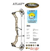 Mathews arc à poulie atlas