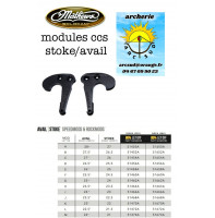 Mathews modules ccs ref...