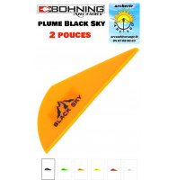 Bohning plumes plastique...