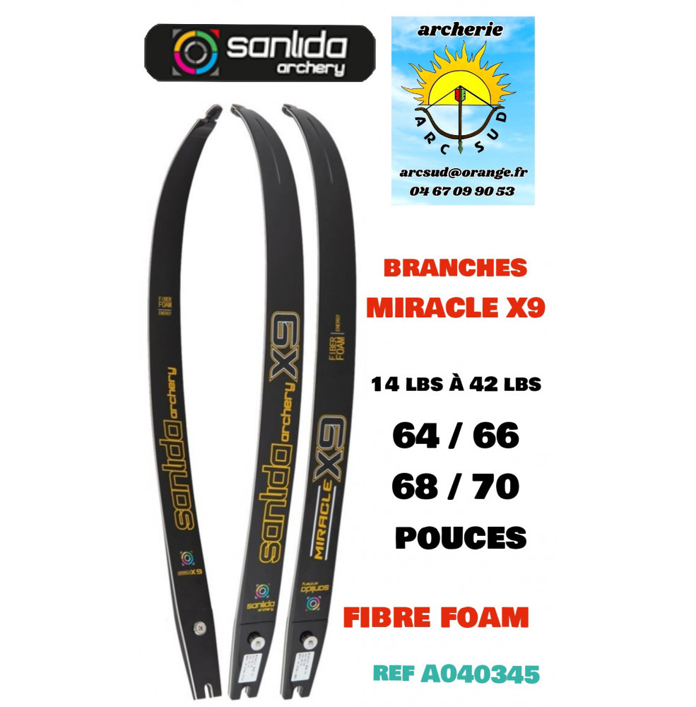 Sanlida branches miracle x9 carbon bois ref A040345