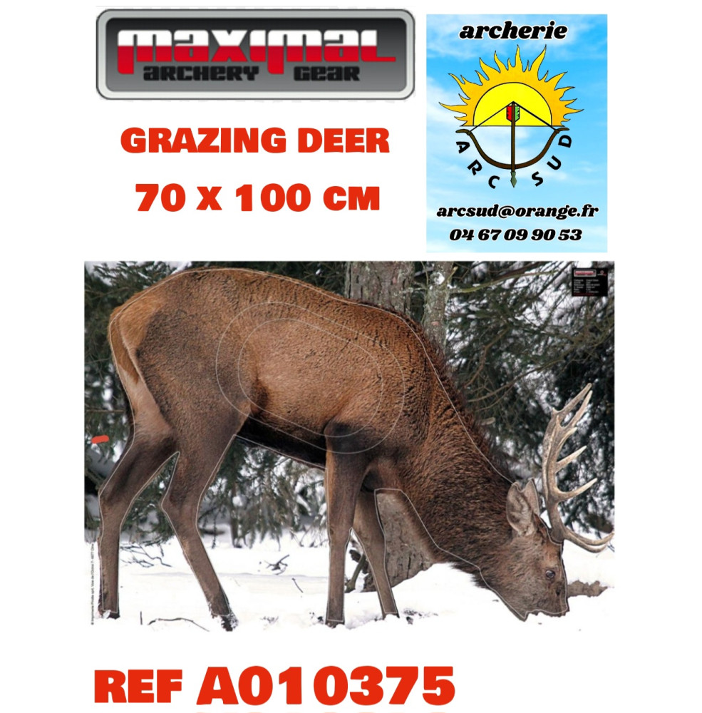 Maximal blason nature grazing deer ref a010375