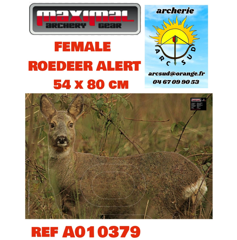 Maximal blason nature female roedeer alert  ref a010379