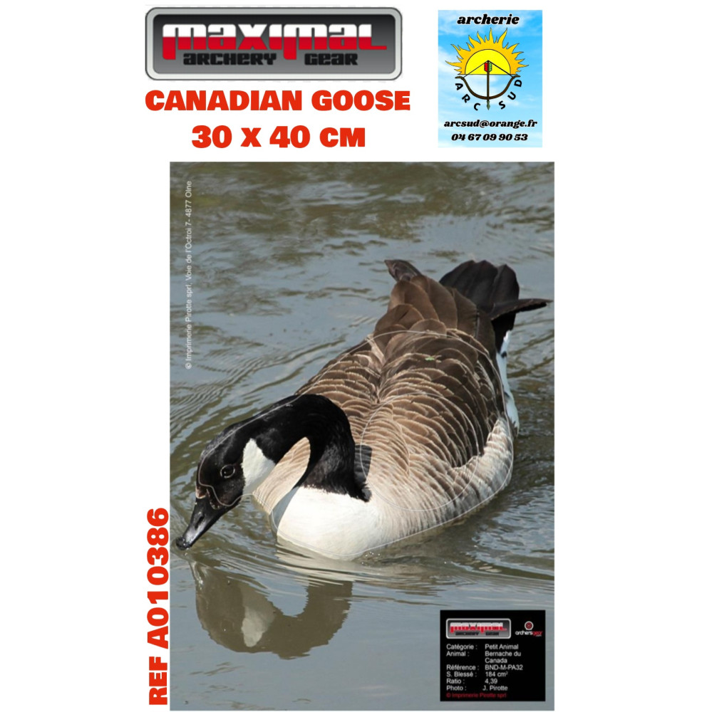 Maximal blason nature canadian goose  ref a010386