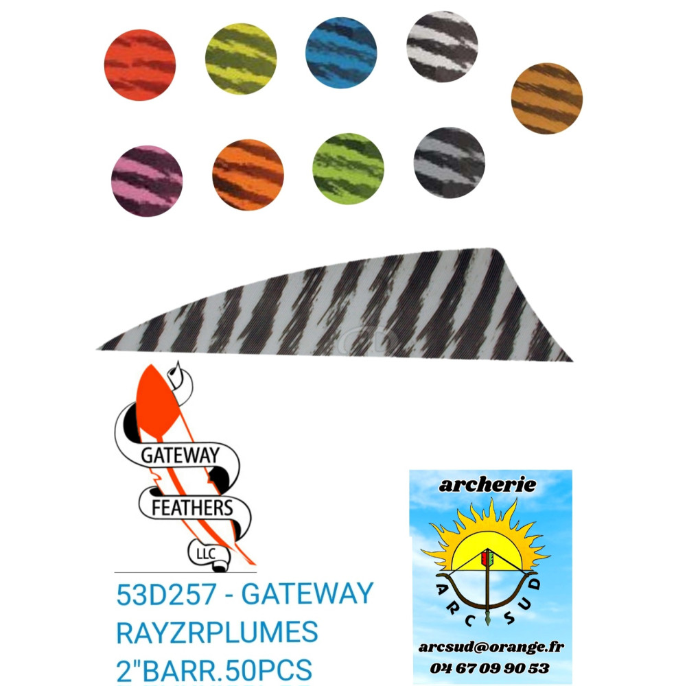 gateway plumes naturel rayzr shield barred 2 pouces (pack de 50) ref 53d257