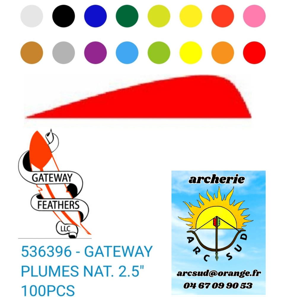 gateway plumes naturel parabole 2,5 pouces (pack de 100) ref 536396