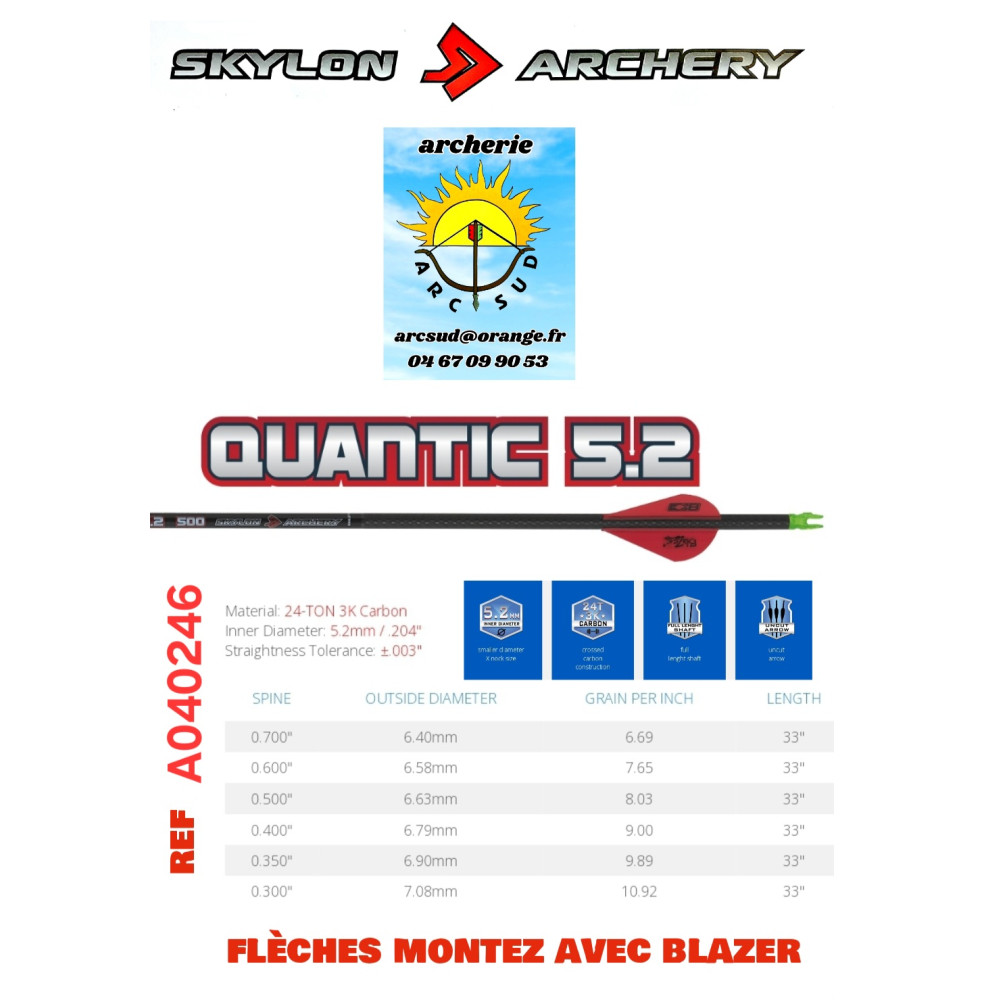 skylon fleches carbon quantic (par 12) ref A040246