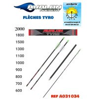 Avalon flèches tyro ref...