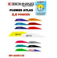 Bohning plumes plastique...