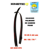kinetic branches palmaris...