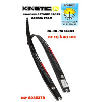 kinetic branches astonix...