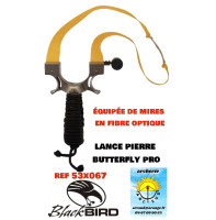Blackbird lance pierre...