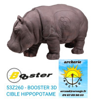 booster cible 3d...