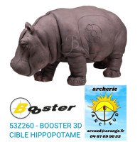 booster cible 3d...