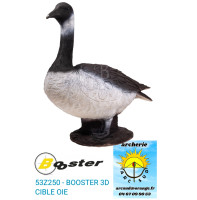 booster cible 3d oie ref...