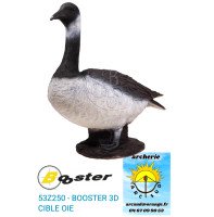 booster cible 3d oie ref...